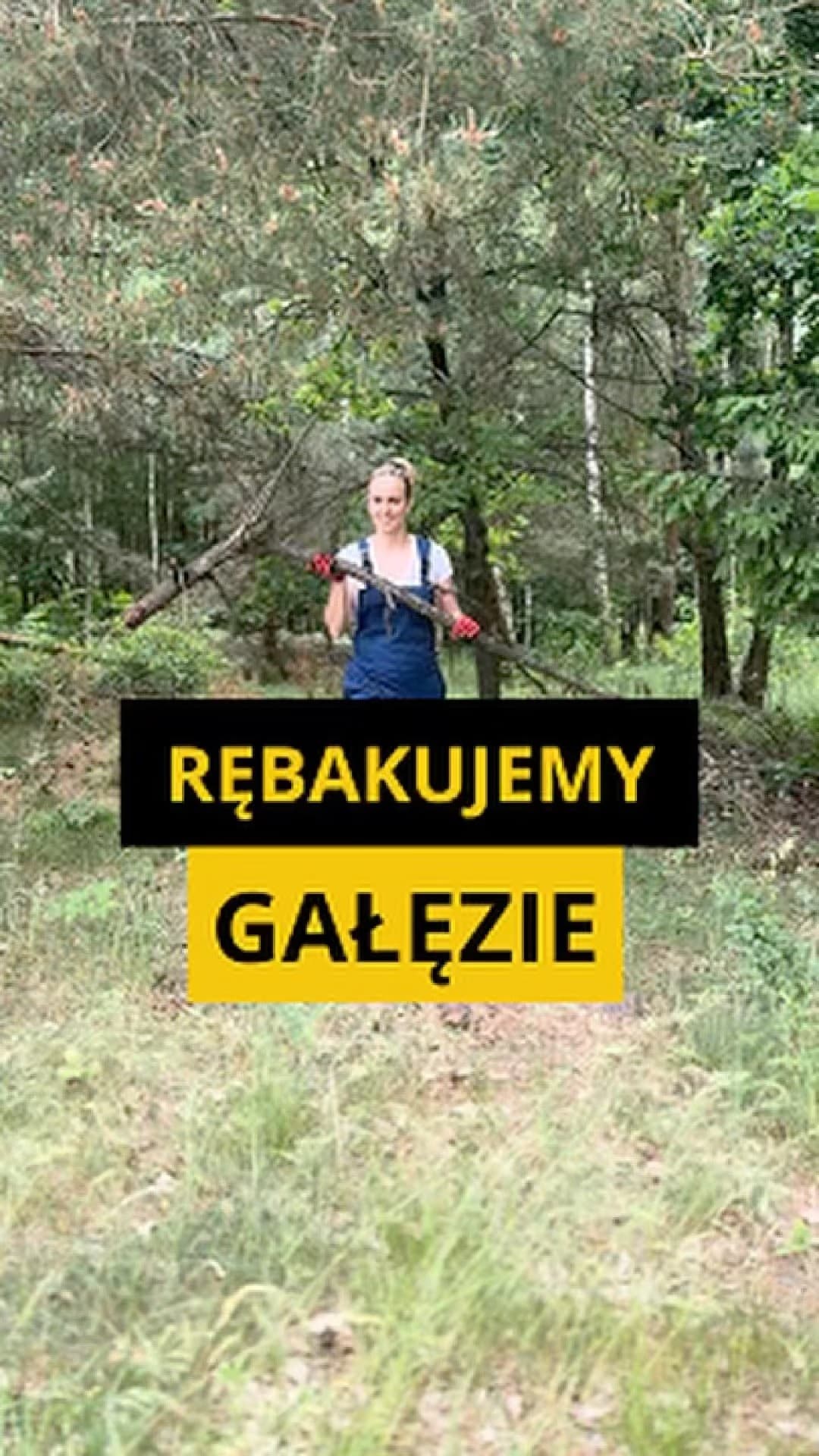 Co zrobić z gałęziami? Rębak czy rozdrabniacz?